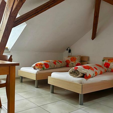 Hotel Loewen Monchaltorf Eksteriør bilde