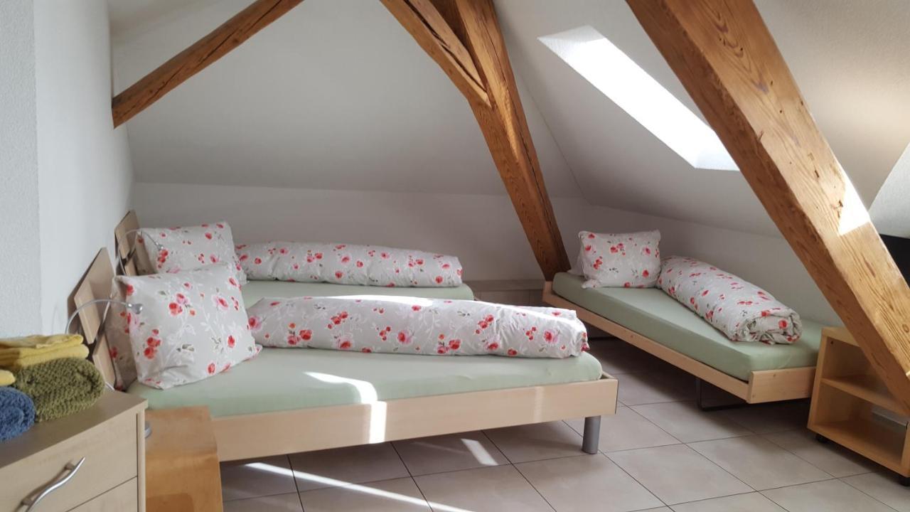 Hotel Loewen Monchaltorf Eksteriør bilde